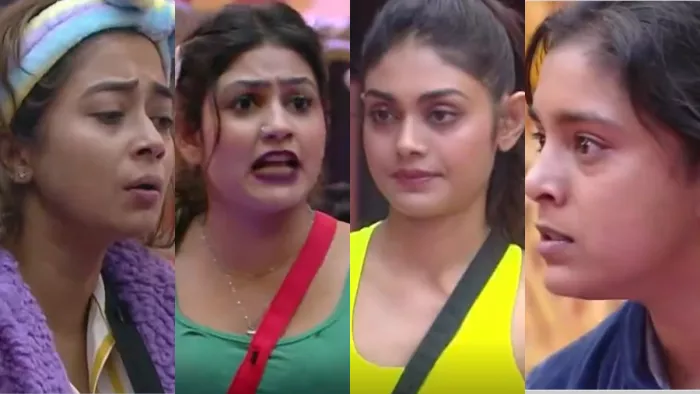 bigg boss 16 these two contestant fighting after priyanka and nimrit. Photo Credit/Instagram