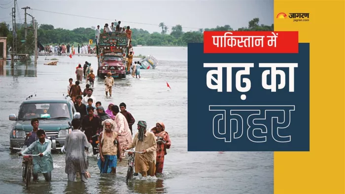 Pakistan Floods News: पाकिस्तान में तेजी से बढ़ रहे मलेरिया के मामले। फाइल फोटो।
