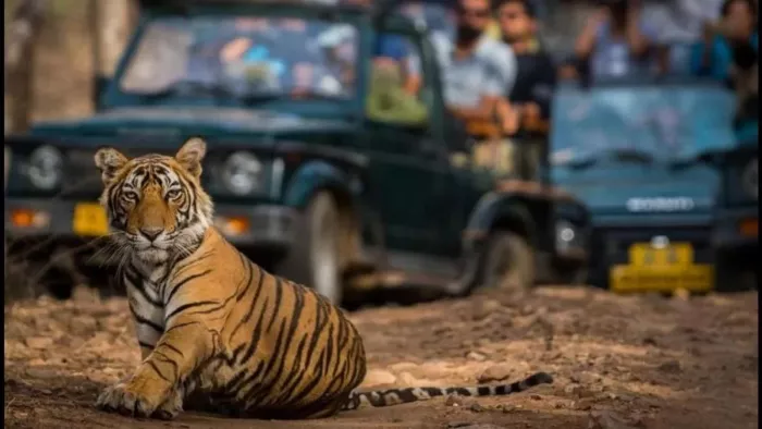 एडवांस बुकिंग फिलहाल 15 नवंबर से 30 नवंबर तक यानी 15 दिन के लिए ही हो पाएगी।