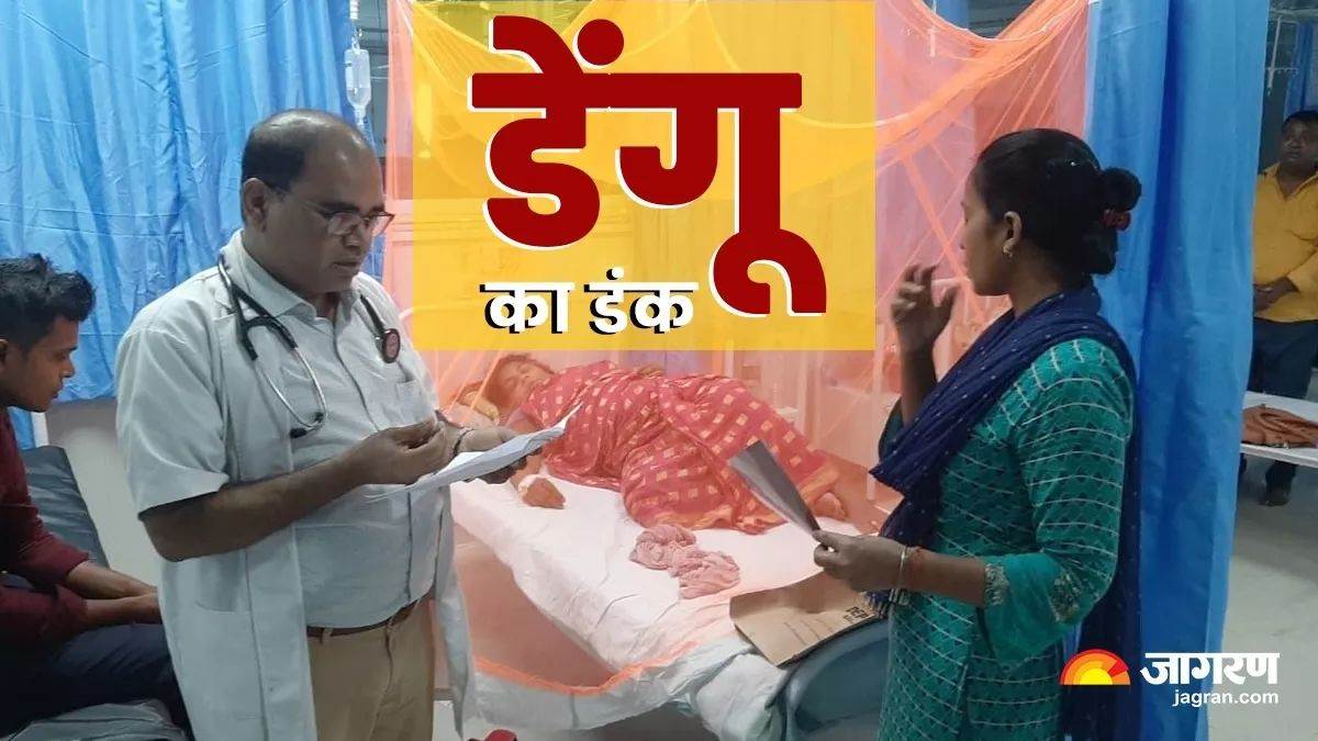 dengue in bihar patna dm told where and how to seek help to prevent havoc of dengue