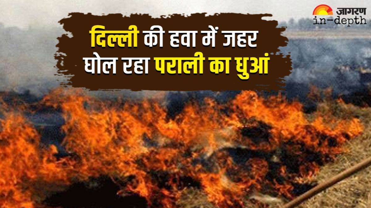 https://www.jagranimages.com/images/newimg/11102023/11_10_2023-stubble_burning_1_23553274_14592532.jpg