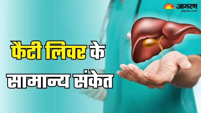 इन संकेतों से करें समय रहते फैटी लिवर की पहचान (Picture Credit- Freepik)
