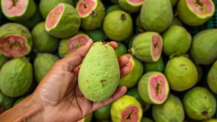 रोजाना अमरूद खाने के फायदे (Picture Credit- Freepik)