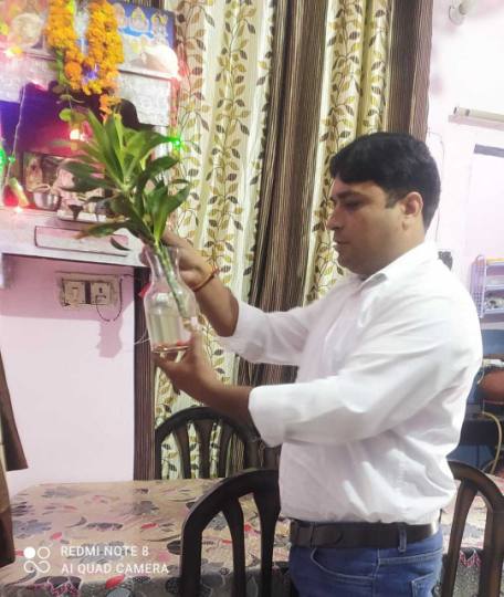 seven new cases of dengue came from urban area