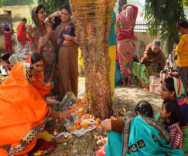 Amla Navami 2021 Date: कब है आंवला नवमी व्रत? जानें तिथि, पूजा मुहूर्त एवं महत्व