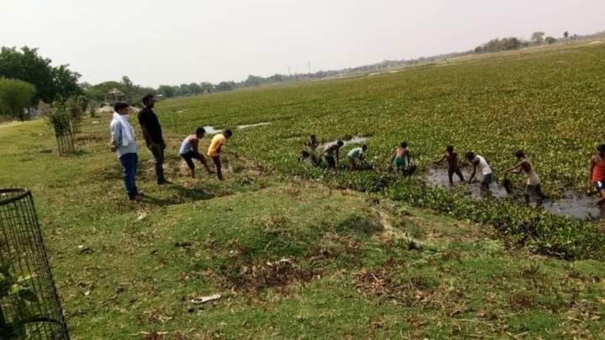 foreign birds shore up up shape lake in sitapur