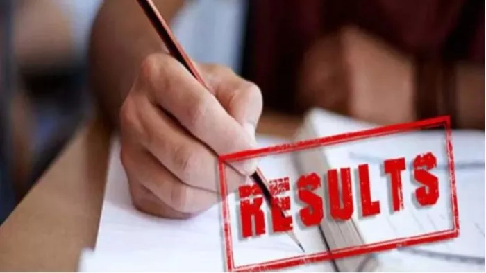 BPSC 69th Prelims Result 2023 Out: हो गया बीपीएससी सीसीई प्रीलिम्स रिजल्ट का एलान,
