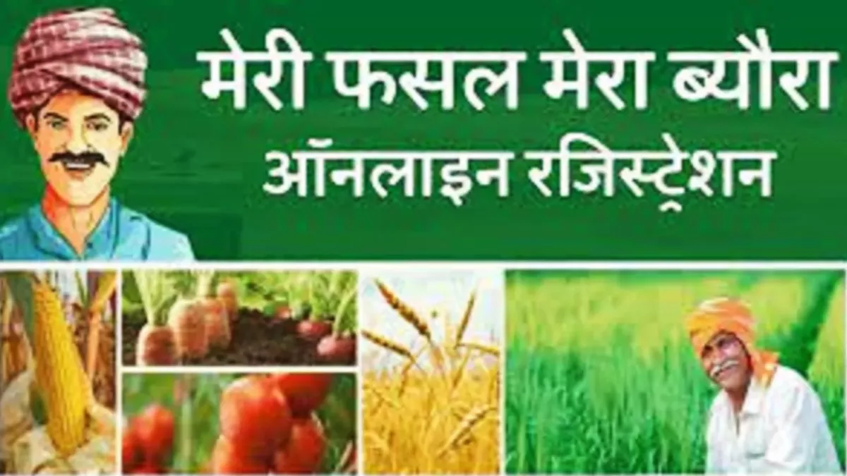 Haryana News: रबी फसलों के लिए खुला 'मेरी फसल मेरा ब्यौरा' पोर्टल, 15 नवंबर  तक मंडियों में बेच सकेंगे कृषि उत्पाद - Meri Fasal Mera Byora portal opened  for Rabi crops in haryana