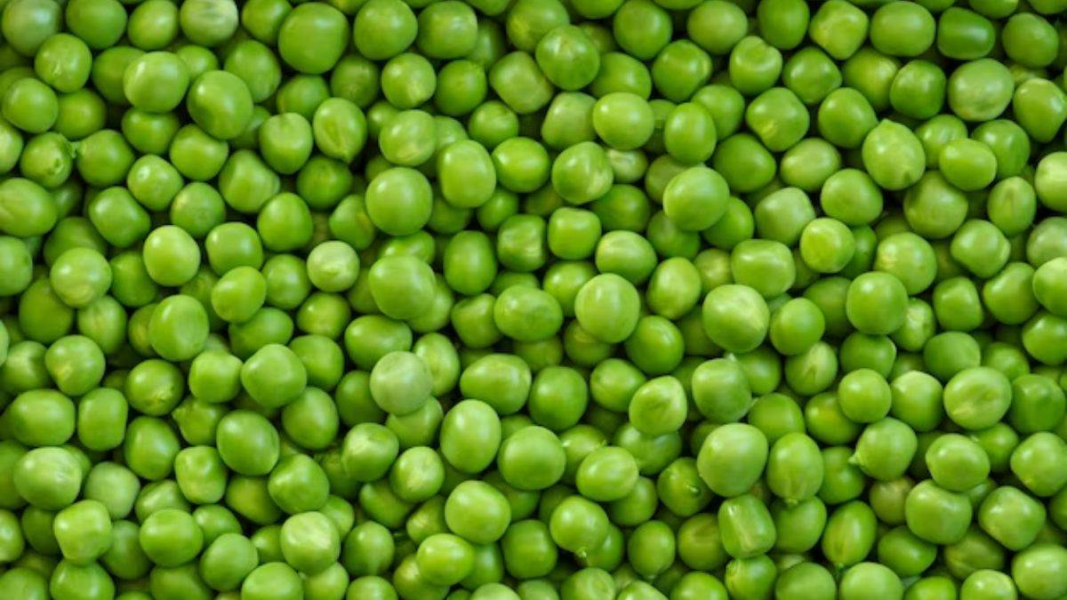 https://www.jagranimages.com/images/newimg/11112023/11_11_2023-green_peas_23578173.jpg