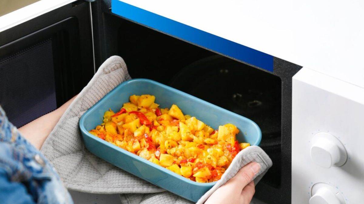 अब गैस और बिजली दोनों की होगी बचत! जब घर लाएंगे ये Solo Microwave Oven, बोले तो झक्कास है इनके फीचर्स
