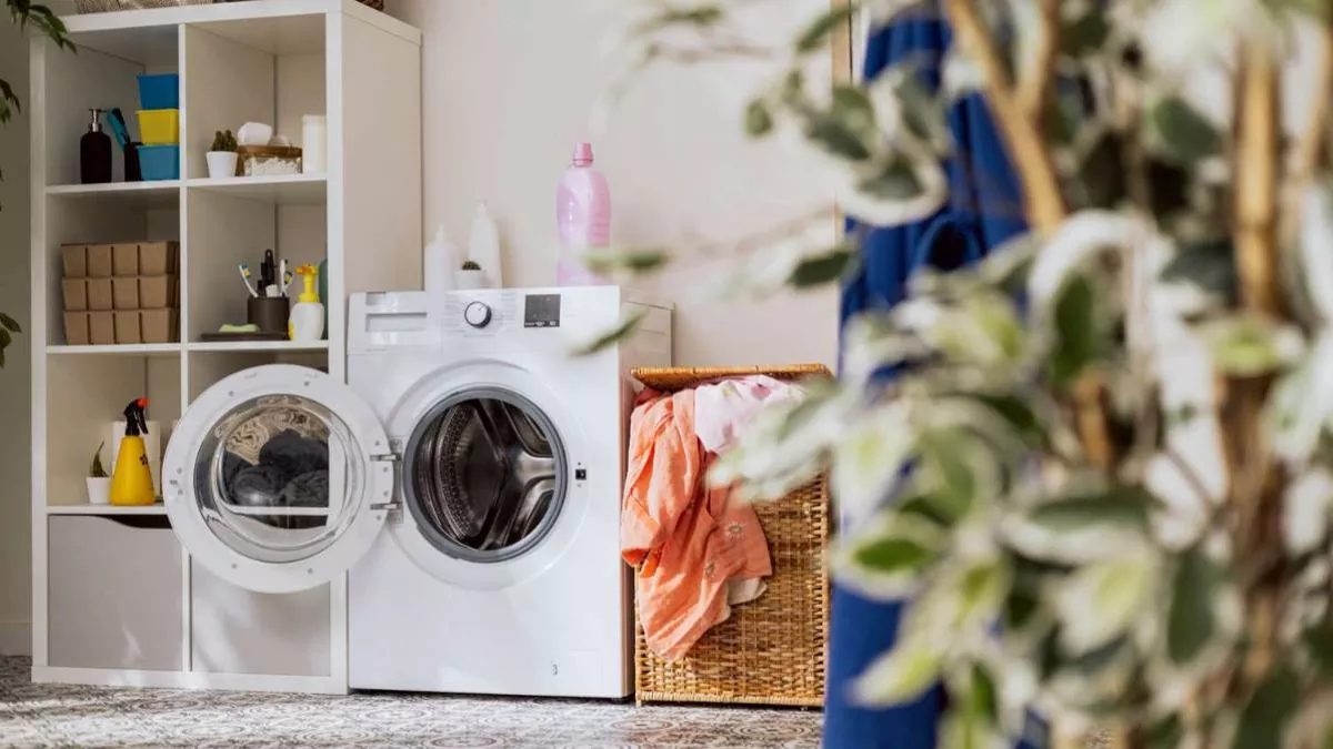 स्टीम वॉश टेक्नोलॉजी वाली Price Of Washing Machine मिल रही मात्र ₹12,790 की रेंज में, वुलेन कपड़ें होंगे हाइजीन वॉश