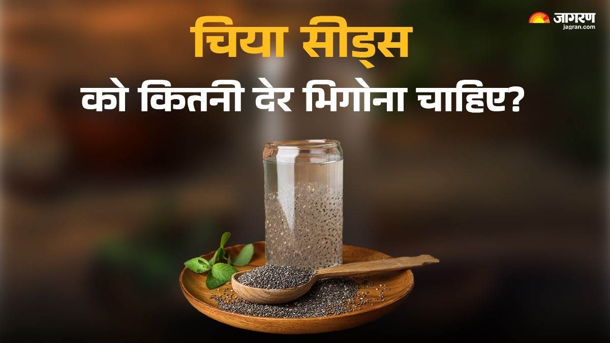https://www.jagranimages.com/images/newimg/11112024/11_11_2024-chia_seeds_soaking_time_23829355.jpg