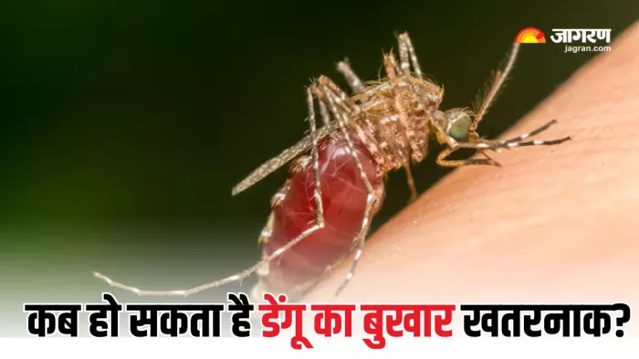 डेंगू का बुखार ले सकता है जान (Picture Courtesy: Freepik)
