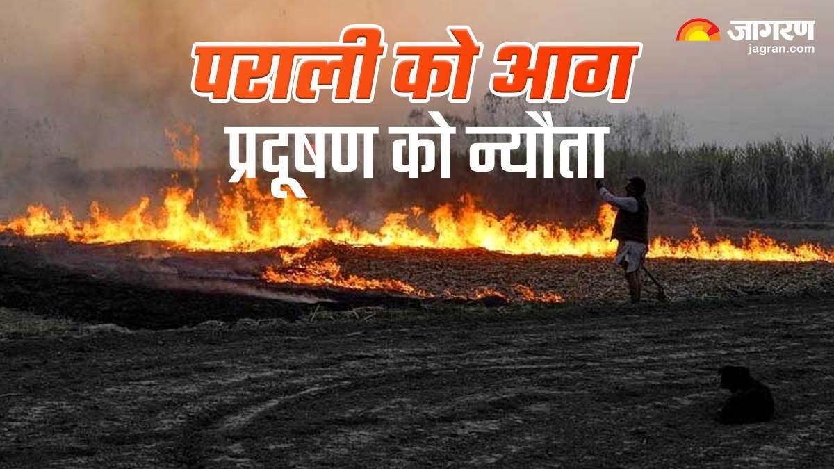 https://www.jagranimages.com/images/newimg/11112024/11_11_2024-punjab_pollution_23829172.jpg