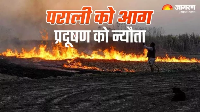 बठिंडा, मंडी गोबिंदगढ़ और रूपनगर में एक्यूआई 400 के पार (फाइल फोटो)