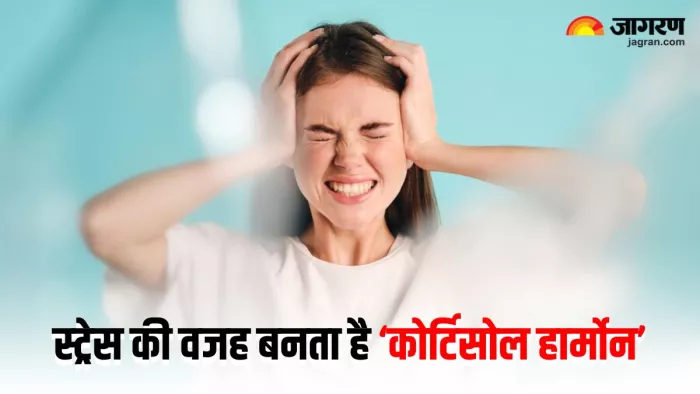 क्या होता है कोर्टिसोल हार्मोन, इसके घटने या बढ़ने पर शरीर में कौन-कौन सी दिक्कतें हो सकती हैं? (Image: Freepik)