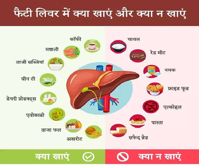  Fatty Liver Diet Foods to Help Fatty Liver Reversal