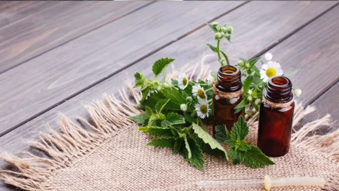 Bhringraj Oil Benefits: सेहत, स्किन और बालों के लिए वरदान है भृंगराज का तेल