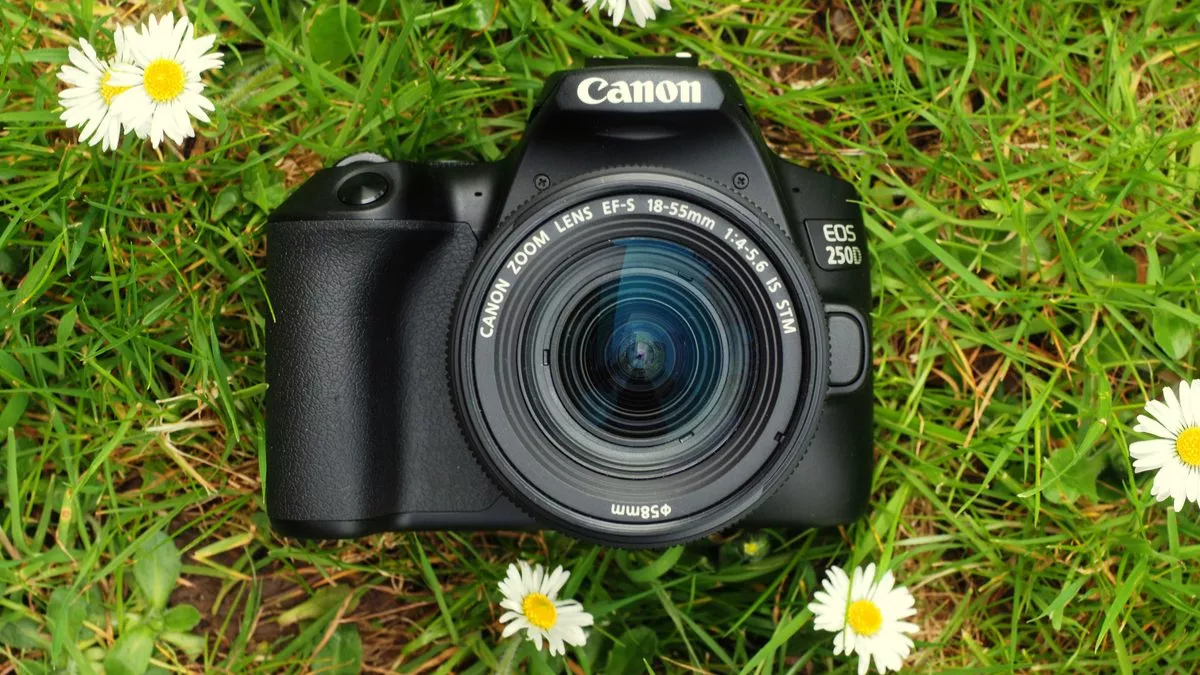 4K वीडियोग्राफी के लिए Canon DSLR Camera को मिला है पहला दर्जा, लेटेस्ट फंक्शन का है कमाल! खूब कमा रहे हैं नाम