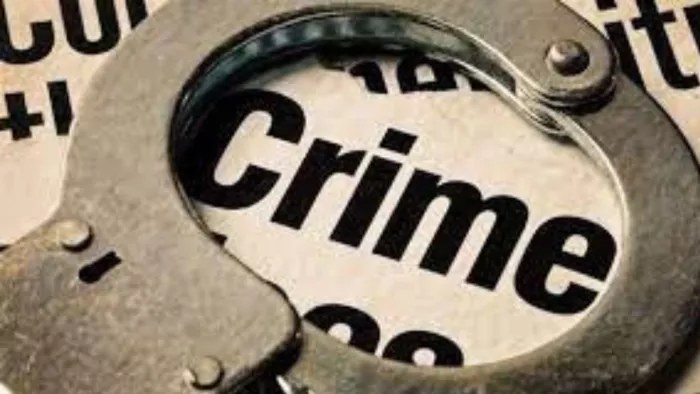 Sheohar Crime: पानी भरने के विवाद में लाठी-डंडे से पीटकर युवक की हत्या, बड़े भाई पर लगा आरोप