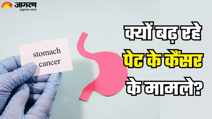 भारत में क्यों बढ़ रहा पेट का कैंसर (Picture Credit- Freepik)