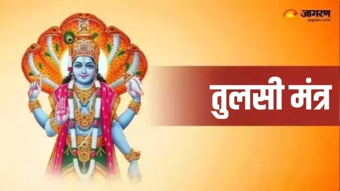 Tulsi Mantra: तुलसी मां को कैसे प्रसन्न करें?
