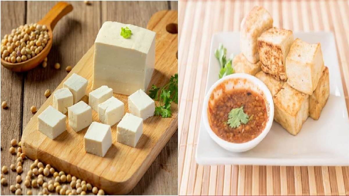 Difference Between Paneer And Tofu आपको पता है टोफू और पनीर में क्या