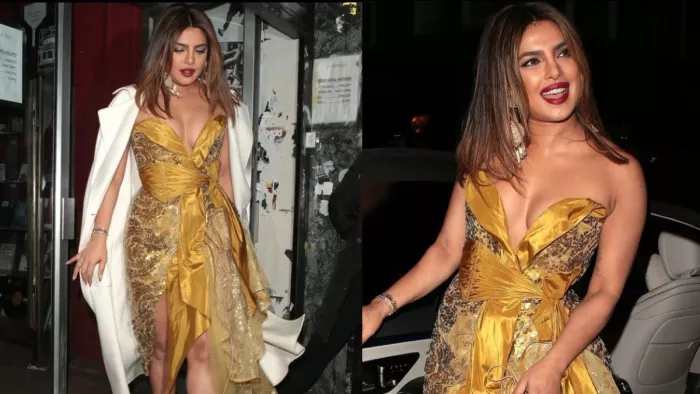 Bollywood Actress Priyanka Chopra Viral Video, Instagram