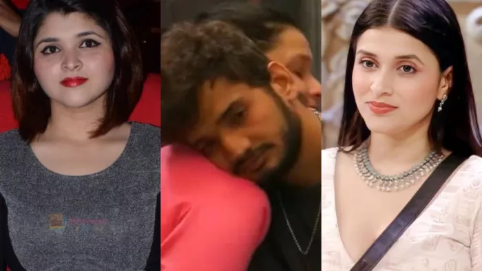 बिग बॉस 17 मिताली ने बताया मुनव्वर फारुकी के लिए मनारा की क्या है फीलिंग / फोटो- Instagram