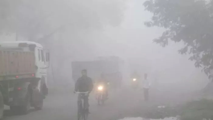 धुंध से वाहनों को खासी दिक्कत होने की संभावना है। इससे इन जिलों में यातायात सेवाएं प्रभावित हो सकती है