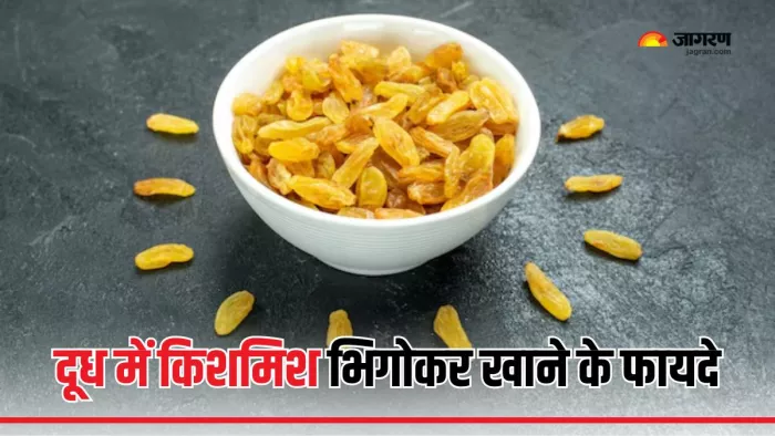 सेहत के लिए बेहद फायदेमंद है दूध में भिगोई हुई किशमिश (Picture Courtesy: Freepik)