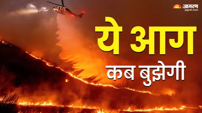 लॉस एंजेलिस के जंगलों में धधकी आग पांच दिन बाद भी नहीं बुझ पाई है। फोटो: जागरण