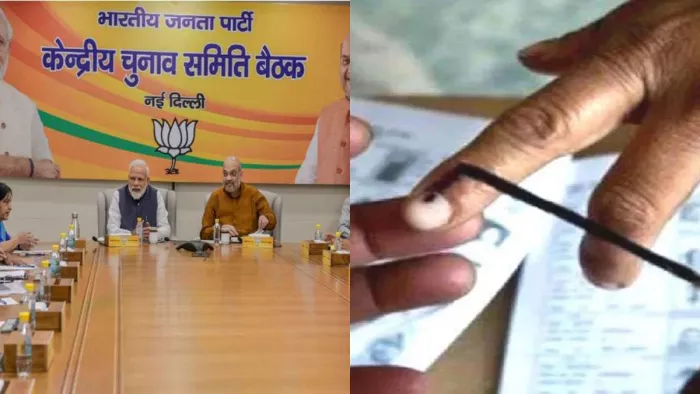 92024 के चुनाव में मिडिल क्लास लगाएगा BJP की नैया पार (फाइल फोटो)
