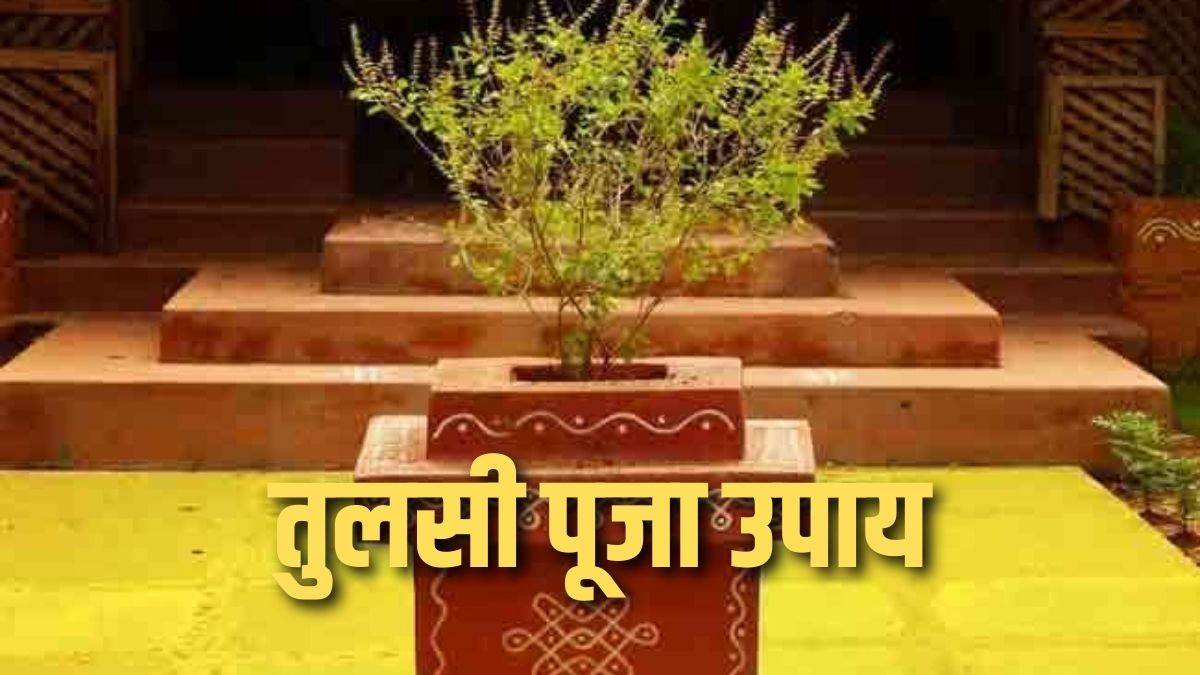 Tulsi Puja Upay इस दिन न करें तुलसी को जल अर्पित करने की गलती, आ सकती