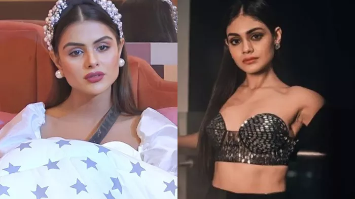 Bigg Boss 16 Grand Finale Ex Contestant Sreejita De Vote Appeal for Shalin Bhanot to Become Winner/Instagram