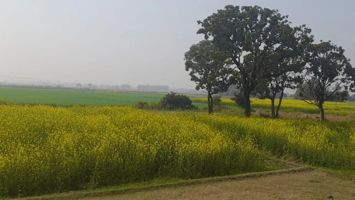 यूपी के इस जिले में जल्द शुरू होगी भू-अधिग्रहण की प्रक्रिया, ओद्योगिक गलियारा को मिल सकती है हरी झंडी