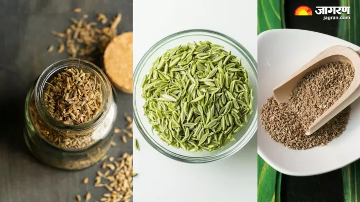 अजवाइन-जीरा-सौंफ का पाउडर खाने से सेहत में होगा सुधार (Picture Courtesy: Freepik)