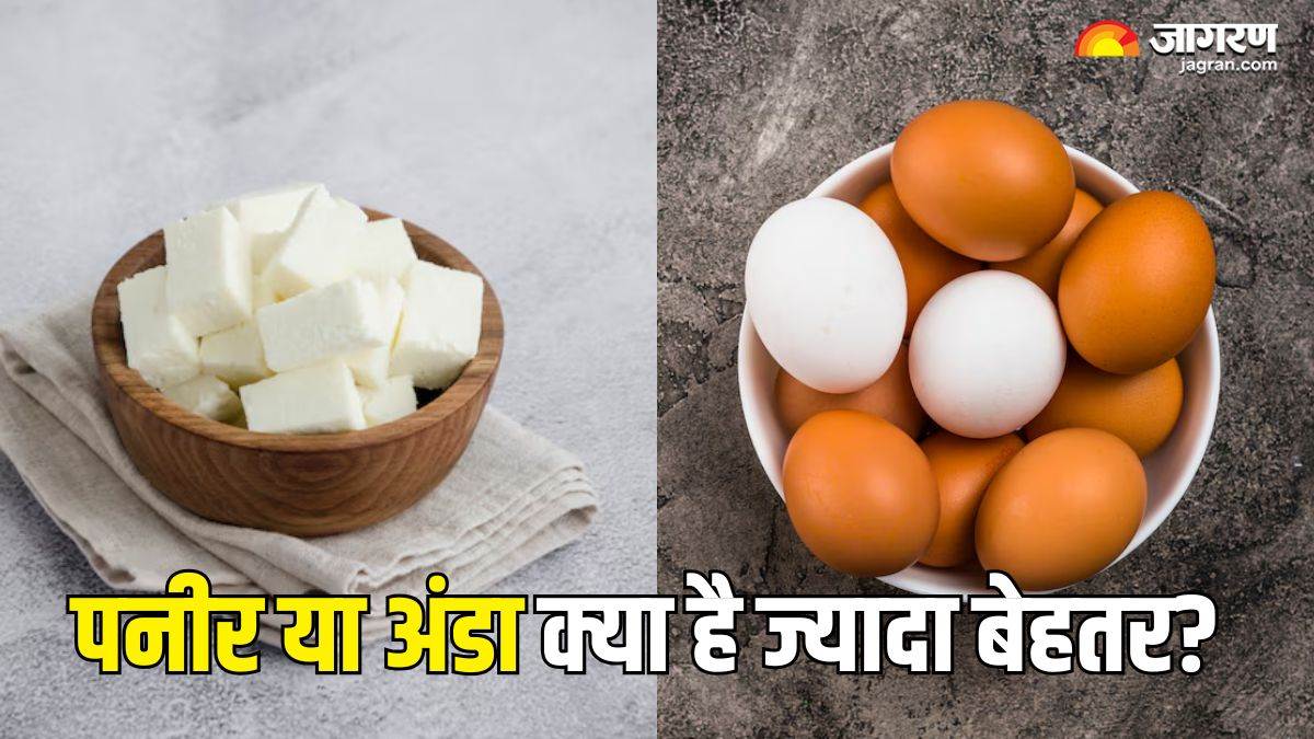 paneer vs egg which is better for breakfast when trying to lose weight check details