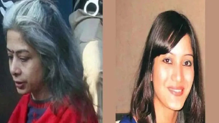 शीना बोरा हत्याकांड की आरोपी इंद्राणी मुखर्जी (फाइल फोटो)