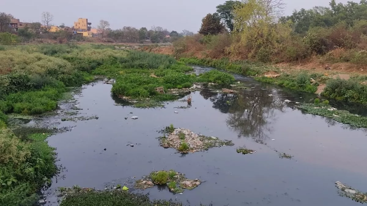Ranchi: मार्च में ही सूखने लगी नदियां, स्वर्णरेखा, जुमार और हरमू नदी का जलस्तर घटा; गहरा सकता है जलसंकट