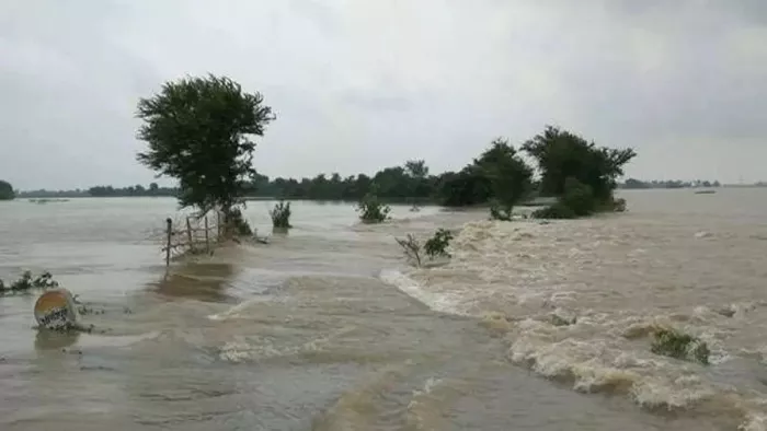 प्रस्तुति के लिए इस्तेमाल की गई तस्वीर