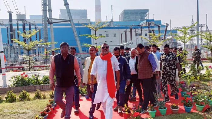 गोड्डा से बीजेपी के सांसद निशिकांत दुबे की फाइल फोटो।