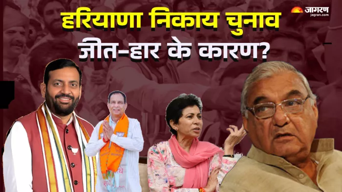 हरियाणा निकाय चुनाव में कांग्रेस को क्यों मिली हार (जागरण- ग्राफिक्स)