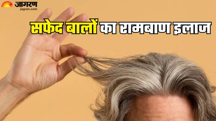 सफेद बालों का काला करेगा ये घरेलू नुस्ख (Picture Credit- Freepik)