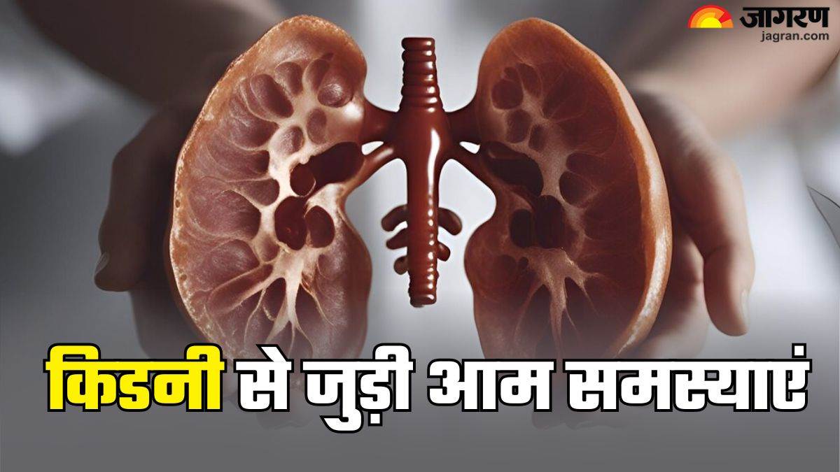 https://www.jagranimages.com/images/newimg/12032025/12_03_2025-world_kidney_day_2_23899062.jpg