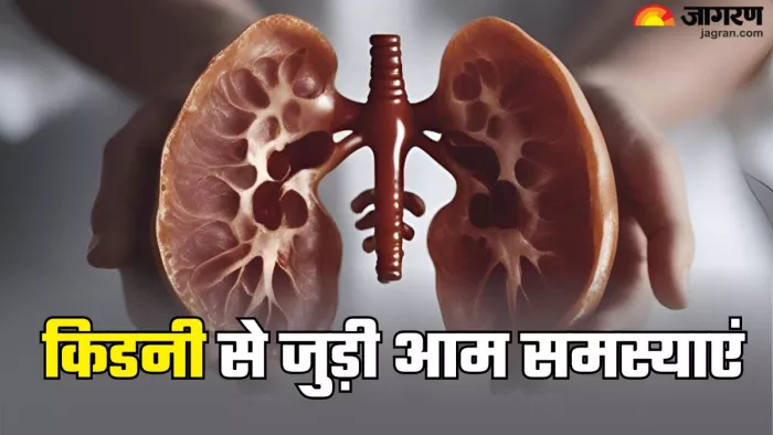किडनी को हेल्दी रखने के लिए इन बातों का रखें का ध्यान (Picture Credit- Freepik)