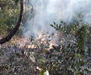 प्रकृति का मानव को संदेश अगर हम अब भी नहीं सुधरे तो समूल विनाश ज्यादा दूर नहीं