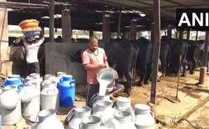 Lockdown Effect: लॉकडाउन का असर डेयरी उद्योग पर, दूध की मांग कम; डेयरी किसान परेशान 