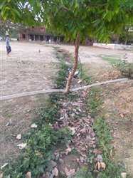 खेल के मैदान पर जल संचयन की जुगत