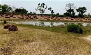 यहां भी तालाब की होती रही अनदेखी